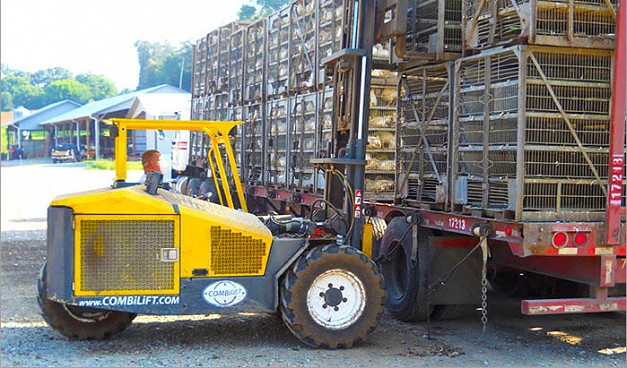 Combi-RT Series Poultry Handler Forklift